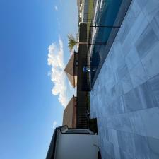 High-quality-fence-cleaningstaining-results-in-Thibodaux-Louisiana 8