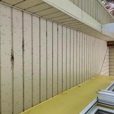 Stunning-Soft-Wash-and-Pressure-Wash-in-Praireville-Louisiana 3